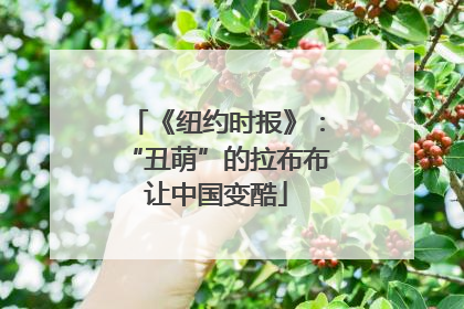《纽约时报》：“丑萌”的拉布布让中国变酷