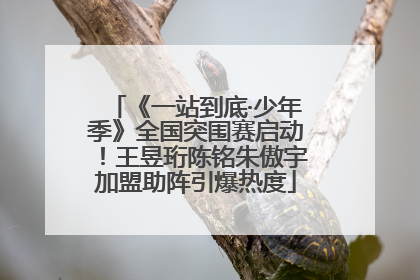 《一站到底·少年季》全国突围赛启动！王昱珩陈铭朱傲宇加盟助阵引爆热度
