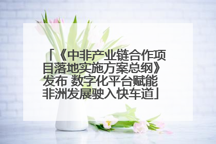 《中非产业链合作项目落地实施方案总纲》发布 数字化平台赋能非洲发展驶入快车道