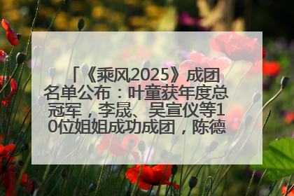 《乘风2025》成团名单公布：叶童获年度总冠军，李晟、吴宣仪等10位姐姐成功成团，陈德容获年度高光人物
