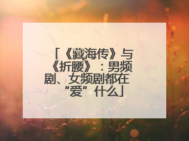 《藏海传》与《折腰》：男频剧、女频剧都在“爱”什么