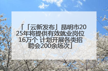 「云新发布」昆明市2025年将提供有效就业岗位16万个 计划开展各类招聘会200余场次