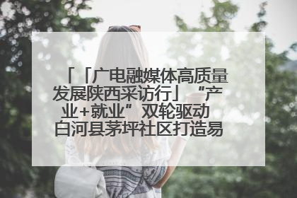 「广电融媒体高质量发展陕西采访行」“产业+就业”双轮驱动 白河县茅坪社区打造易地搬迁后扶新样本