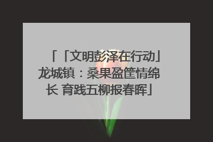 「文明彭泽在行动」龙城镇：桑果盈筐情绵长 育践五柳报春晖