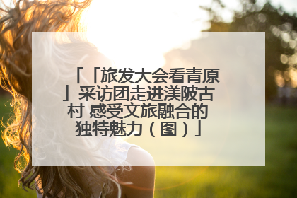 「旅发大会看青原」采访团走进渼陂古村 感受文旅融合的独特魅力（图）