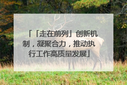 「走在前列」创新机制，凝聚合力，推动执行工作高质量发展