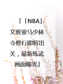 「NBA」文班亚马少林寺修行即将出关，最新练武画面曝光