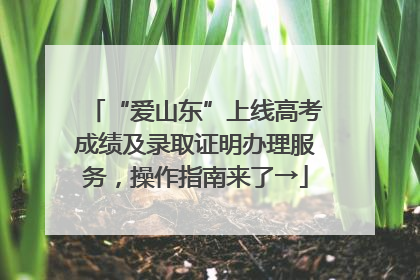 “爱山东”上线高考成绩及录取证明办理服务，操作指南来了→