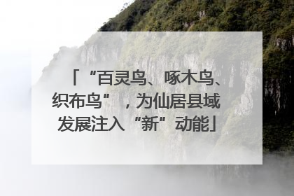 “百灵鸟、啄木鸟、织布鸟”，为仙居县域发展注入“新”动能