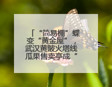 “简易棚”蝶变“黄金屋”，武汉黄陂火塔线瓜果售卖亭成“金招牌”