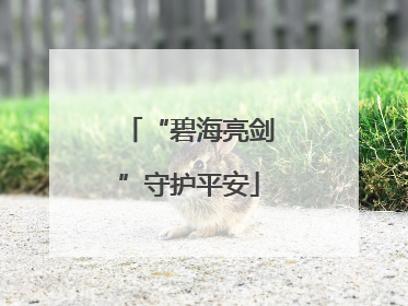 “碧海亮剑”守护平安