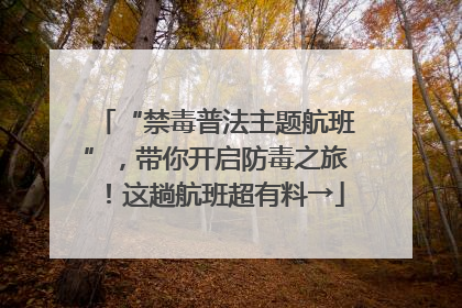 “禁毒普法主题航班”，带你开启防毒之旅！这趟航班超有料→