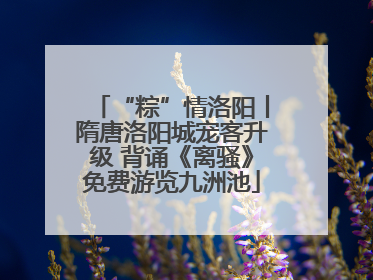 “粽”情洛阳丨隋唐洛阳城宠客升级 背诵《离骚》免费游览九洲池