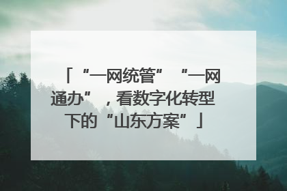 “一网统管”“一网通办”，看数字化转型下的“山东方案”