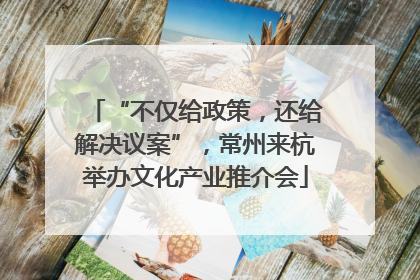 “不仅给政策，还给解决议案”，常州来杭举办文化产业推介会