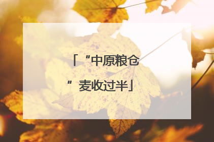 “中原粮仓”麦收过半
