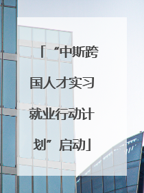 “中斯跨国人才实习就业行动计划”启动
