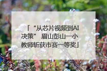 “从芯片视频到AI决策” 眉山彭山一小教师斩获市赛一等奖