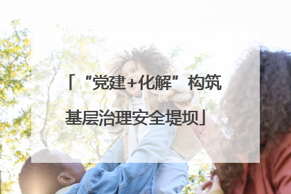 “党建+化解”构筑基层治理安全堤坝