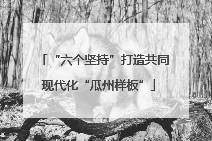 “六个坚持”打造共同现代化“瓜州样板”