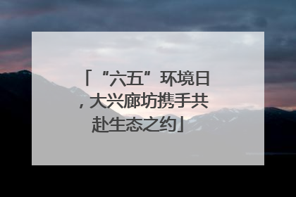 “六五”环境日，大兴廊坊携手共赴生态之约