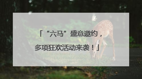 “六马”盛意邀约，多项狂欢活动来袭！