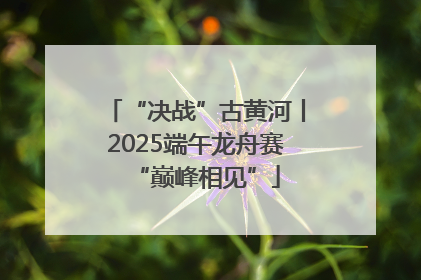 “决战”古黄河丨2025端午龙舟赛“巅峰相见”
