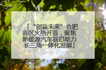 “创赢未来”合肥赛区火热开赛，聚焦新能源汽车赛道助力长三角一体化发展