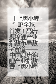 “唐小鲤”IP全球首发！高唐携锦鲤产业指数布局数字赛道——中国高唐锦鲤产业指数暨“唐小鲤”IP全球首发仪式在杭州举行