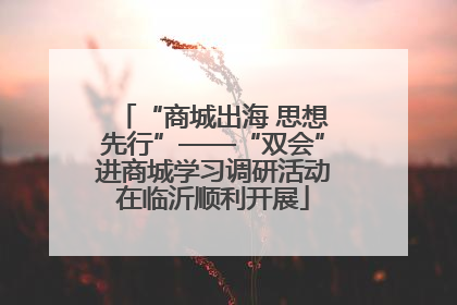 “商城出海 思想先行”——“双会”进商城学习调研活动在临沂顺利开展