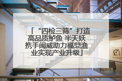 “四检三筛”打造高品质鲈鱼 半天妖携手闽威助力福鼎渔业实现产业升级