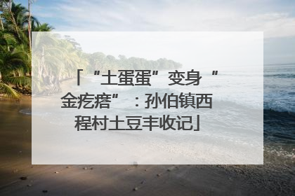 “土蛋蛋”变身“金疙瘩”：孙伯镇西程村土豆丰收记