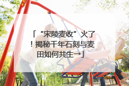 “宋陵麦收”火了！揭秘千年石刻与麦田如何共生→