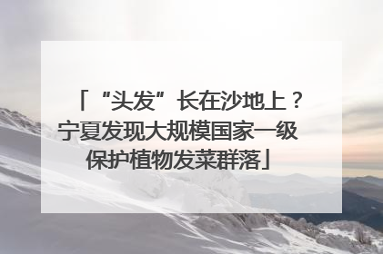 “头发”长在沙地上？宁夏发现大规模国家一级保护植物发菜群落