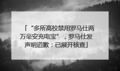 “多所高校禁用罗马仕两万毫安充电宝”，罗马仕发声明道歉：已展开核查