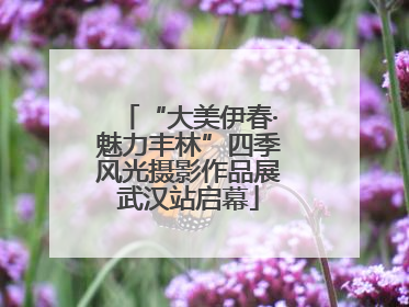 “大美伊春·魅力丰林”四季风光摄影作品展武汉站启幕