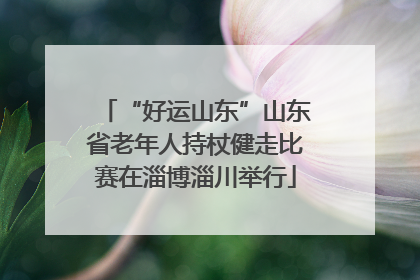 “好运山东”山东省老年人持杖健走比赛在淄博淄川举行