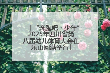 “奔跑吧・少年”2025年四川省第八届幼儿体育大会在乐山圆满举行
