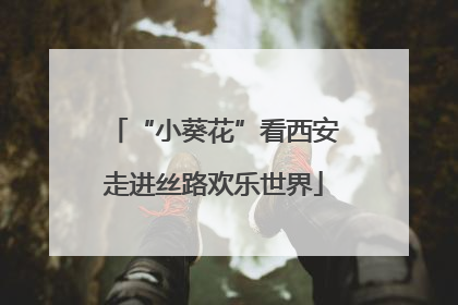 “小葵花”看西安走进丝路欢乐世界