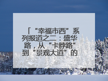 “幸福市西”系列报道之二：盛华路，从“卡脖路”到“景观大道”的华丽转身