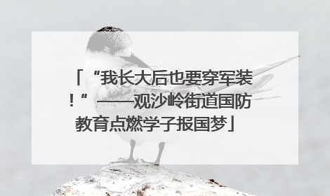 “我长大后也要穿军装！”——观沙岭街道国防教育点燃学子报国梦