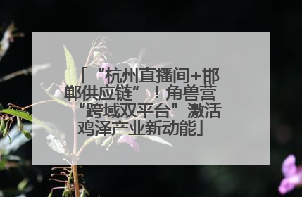 “杭州直播间+邯郸供应链”！角兽营“跨域双平台”激活鸡泽产业新动能
