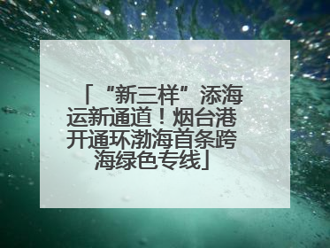 “新三样”添海运新通道！烟台港开通环渤海首条跨海绿色专线