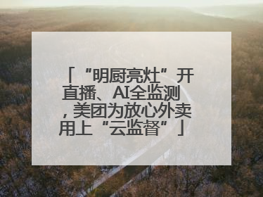 “明厨亮灶”开直播、AI全监测，美团为放心外卖用上“云监督”
