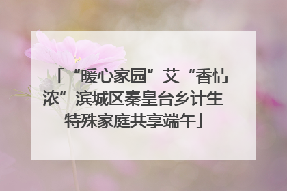 “暖心家园”艾“香情浓”滨城区秦皇台乡计生特殊家庭共享端午