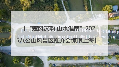 “楚风汉韵 山水淮南”2025八公山风景区推介会惊艳上海