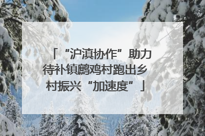 “沪滇协作”助力待补镇鹧鸡村跑出乡村振兴“加速度”