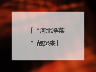 “河北净菜”靓起来