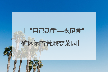 “自己动手丰衣足食”矿区闲置荒地变菜园