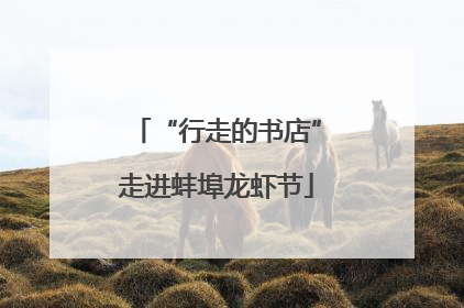 “行走的书店”走进蚌埠龙虾节